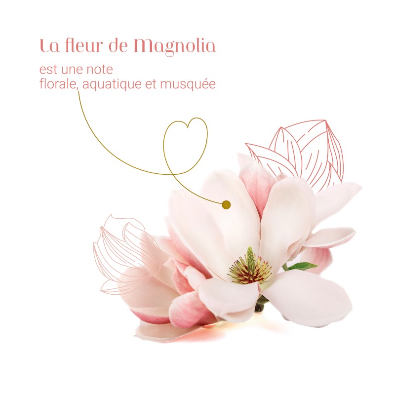 Magnolia d'Amour